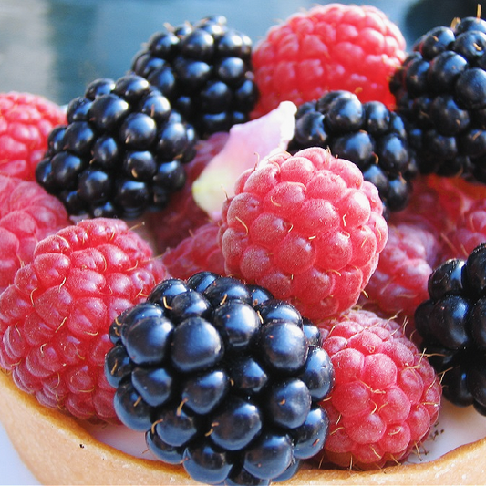 Black Raspberry Vanilla Fragrance Oil