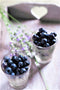 Blueberry Lavender - Premium Fragrance Oil