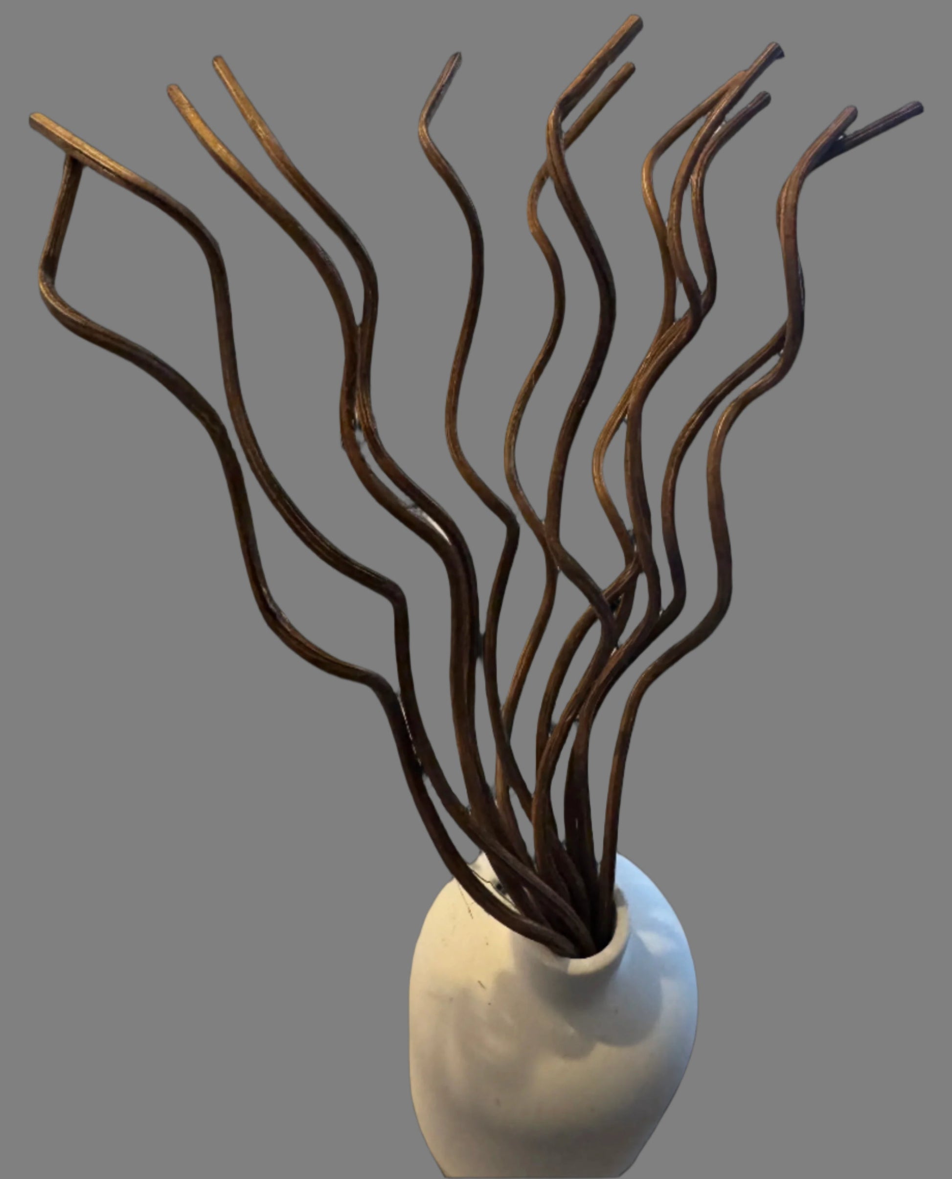 Wavy Spiral Reed Diffuser Sticks