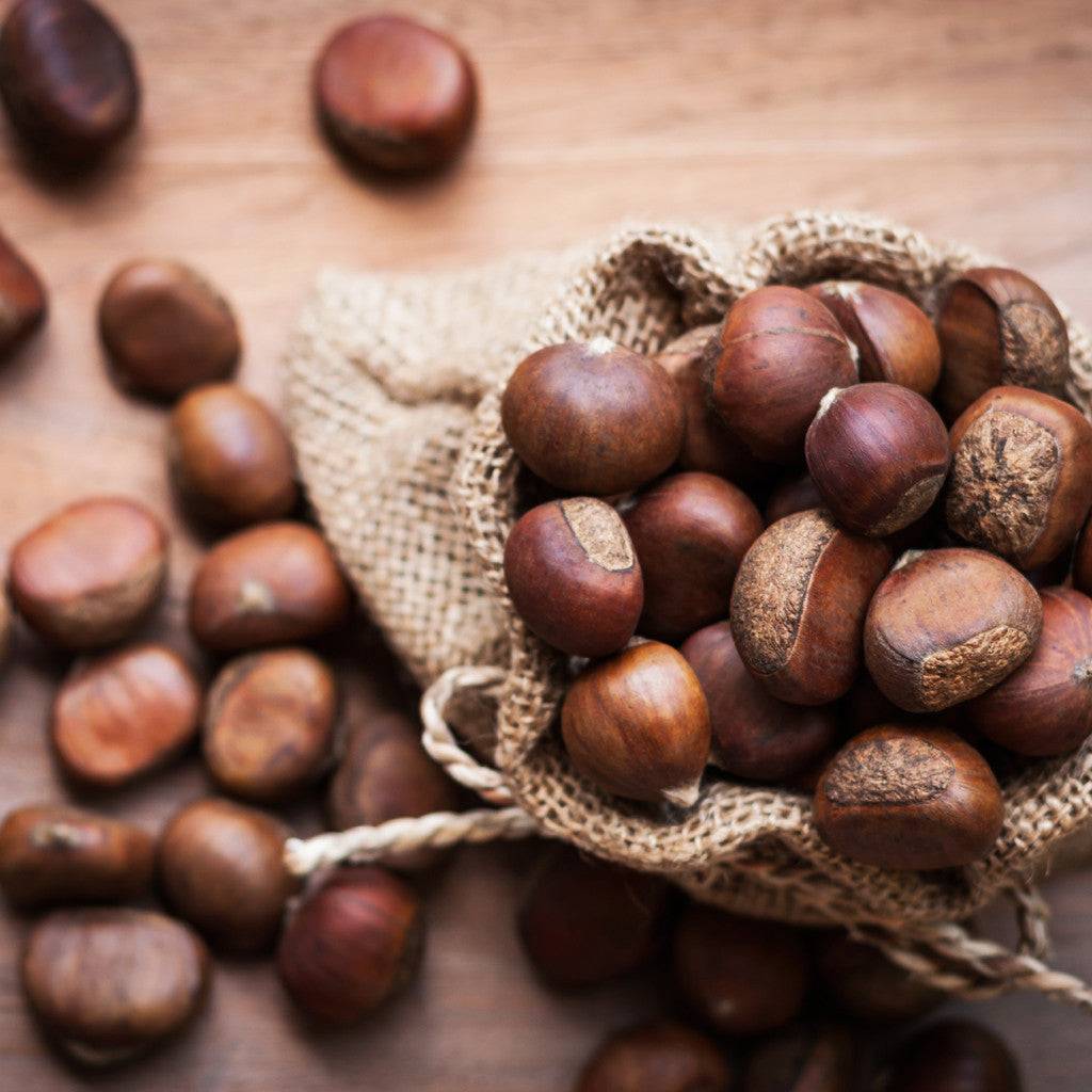 Chestnuts & Brown Sugar Fragrance Oil for Candle Making