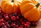 Cranberry Pumpkin (Discontinued) BBW Type