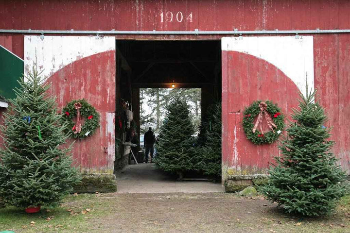 Farmhouse Christmas - 1oz Sample