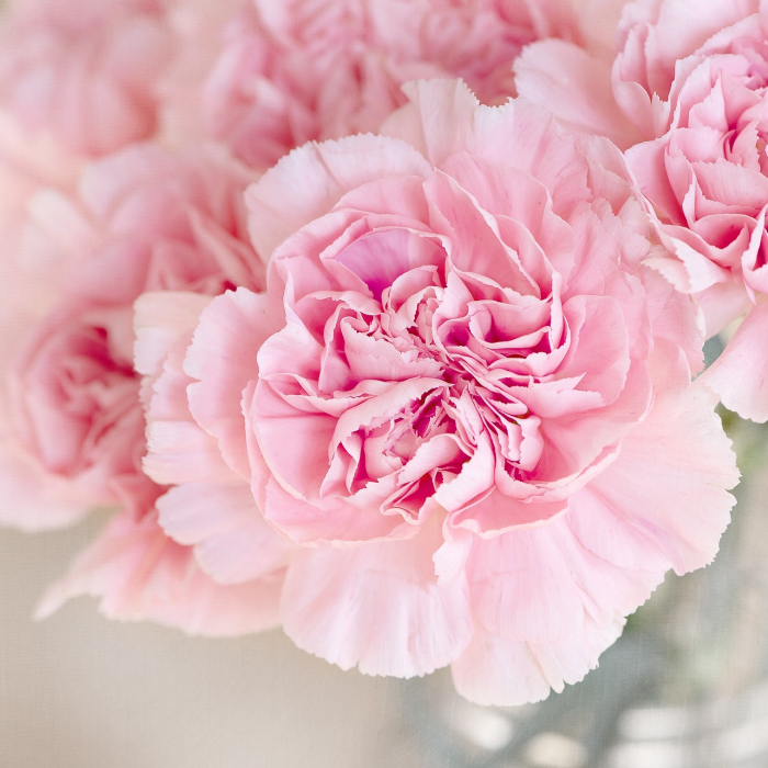 Flowerbomb Perfume Fragrance Oil