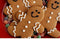Gingerbread Man - Premium Fragrance Oil