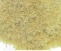 Ground Loofah Powder - Crafter's Choice