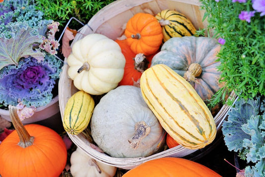 Heirloom Pumpkin best wholesale candle fragrance oil