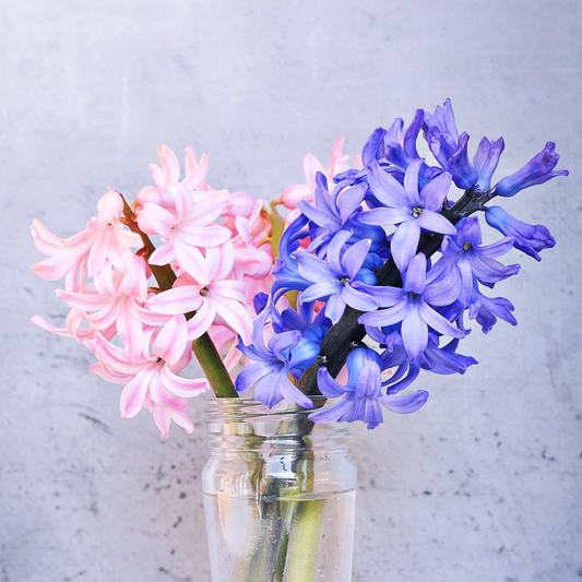 Hyacinth Fragrance Oil