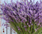Lavender - Premium Fragrance Oil