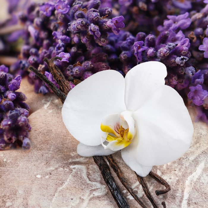 Lavender Vanilla Fragrance Oil for Candles