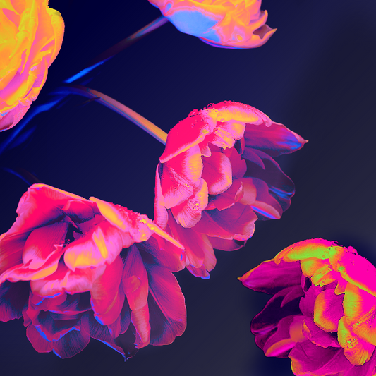 Neon Blossoms Candle Fragrance Oil