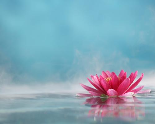 Ozonic Fragrance Oil - Ozone Custom Fragrance Creator