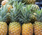 Pineapple - Premium Fragrance Oil