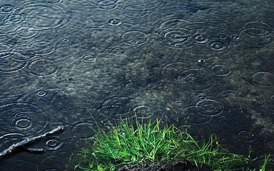 Rain Fragrance