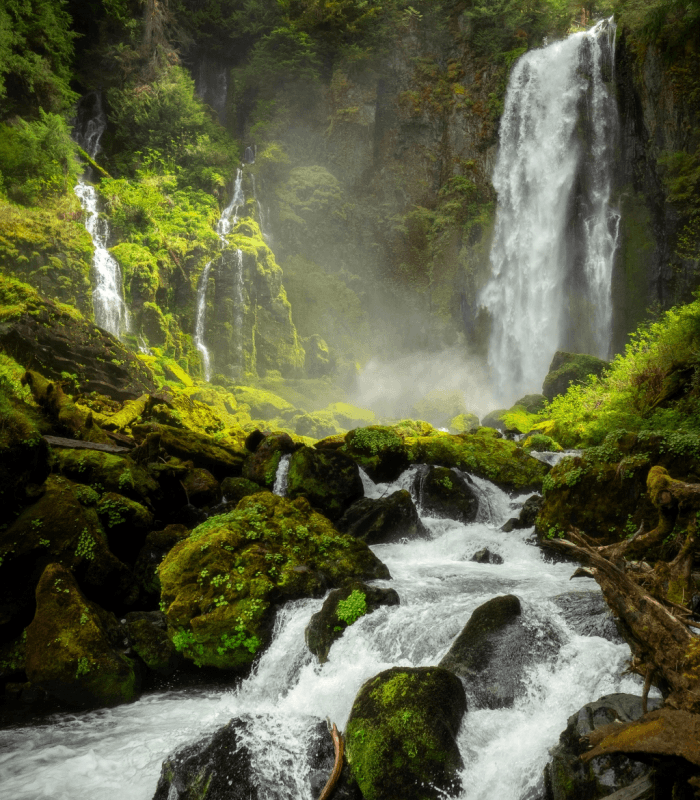 Rainforest Candle Fragrance Oil