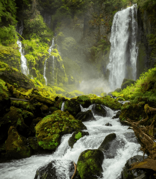 Rainforest Candle Fragrance Oil