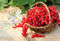Red Currant & Berry Blossom *Discontinued* Premium Fragrance Oil