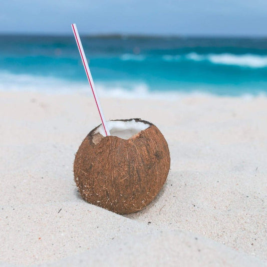 Sea Salt & Coconut best fragrances for candles