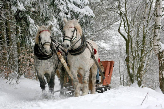 Sleigh Ride - Christmas Candle Fragrance Oil