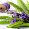 Smoked Sage & Lavender - Premium Fragrance Oil