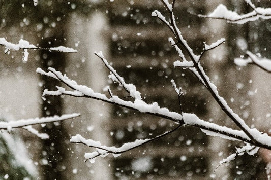 Snow Fall best wholesale fragrance oil for candles