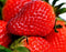Strawberry - Premium Fragrance Oil