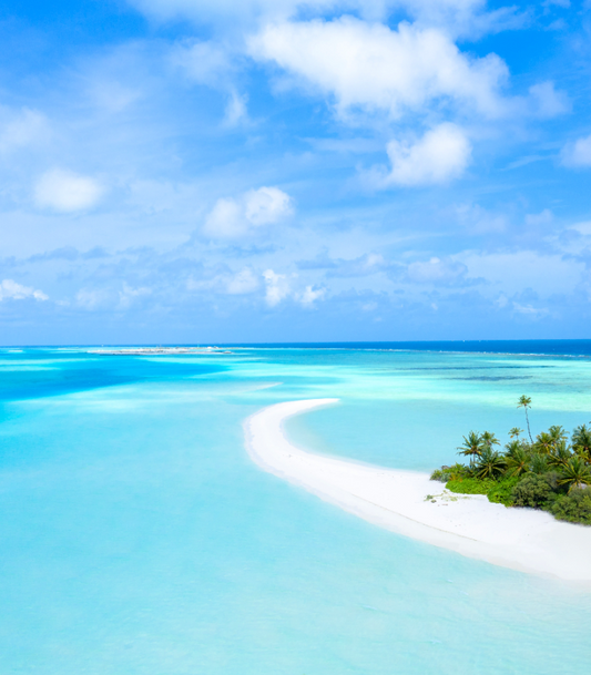 Turquoise Waters Premium Fragrance Oil