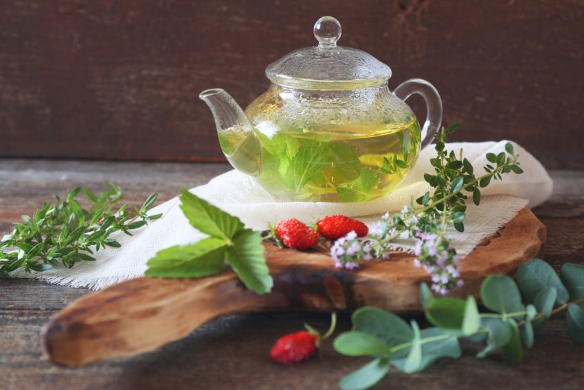 Wild Mint & Eucalyptus best wholesale fragrance for candle and soap making