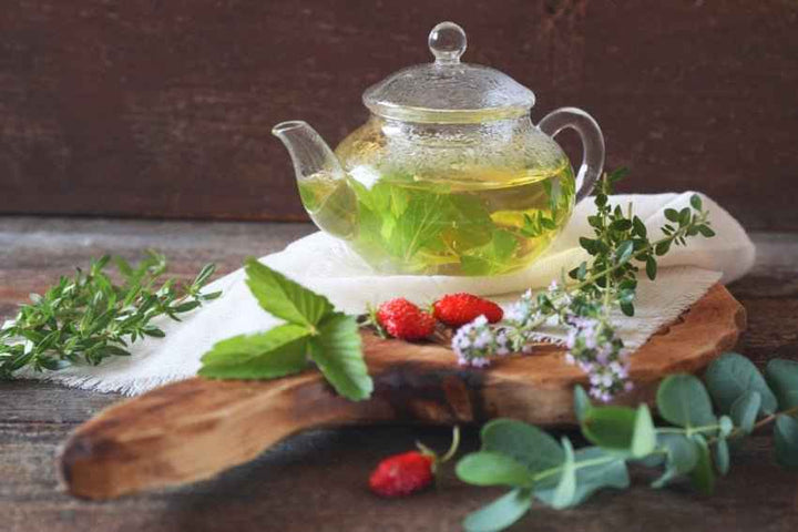 Wild Mint & Eucalyptus — 1 oz Sample