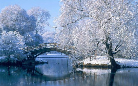 Winter Morning - NorthWood Premium Fragrance Oil for Candles, Soaps, Lotions, Cosmetics