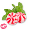 Lip Balm Flavor Oil - Peppermint Dreams (Unsweetened)